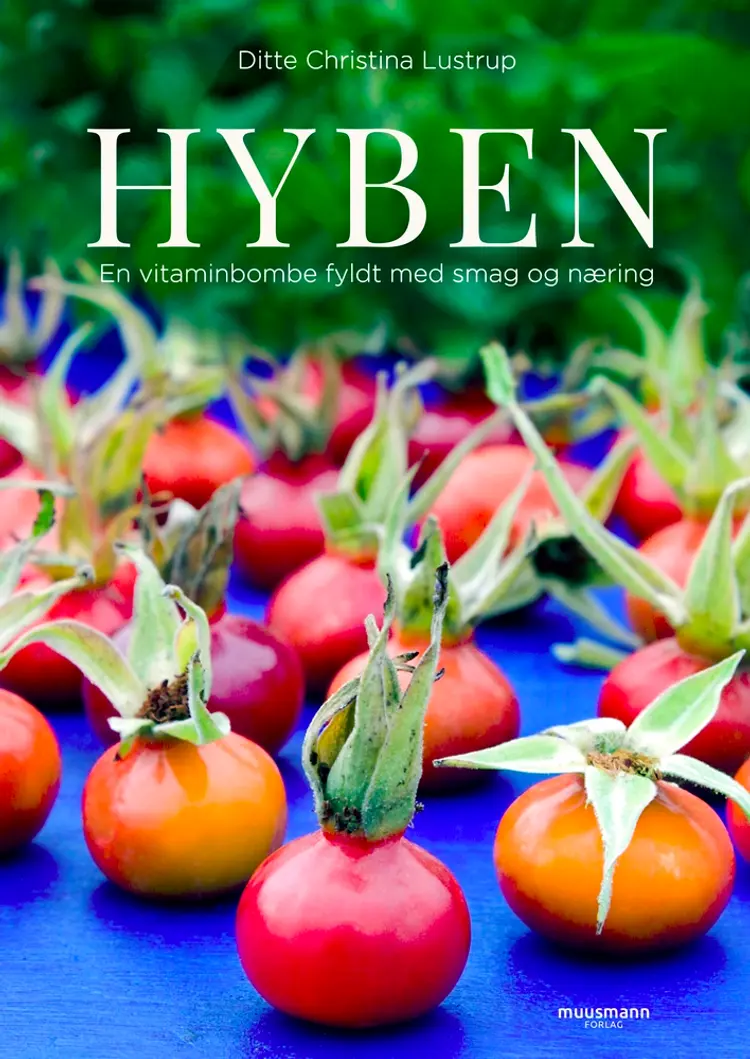 Hyben af Ditte Christina Lustrup