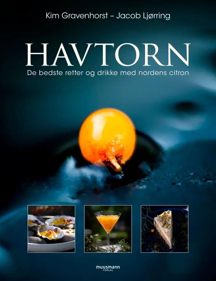 Havtorn 3 af Kim Gravenhorst