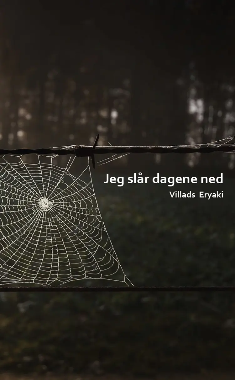 Jeg slår dagene ned af Villads Eryaki