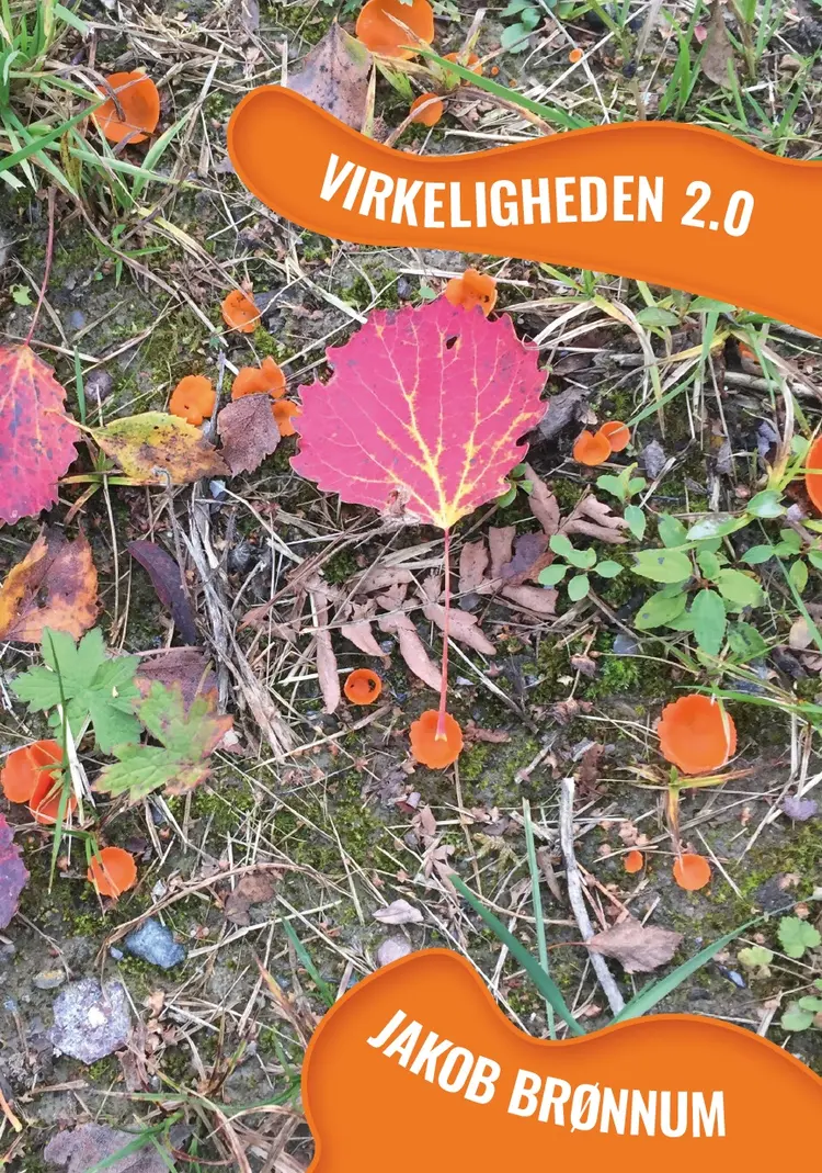 Virkeligheden 2.0 af Jakob Brønnum