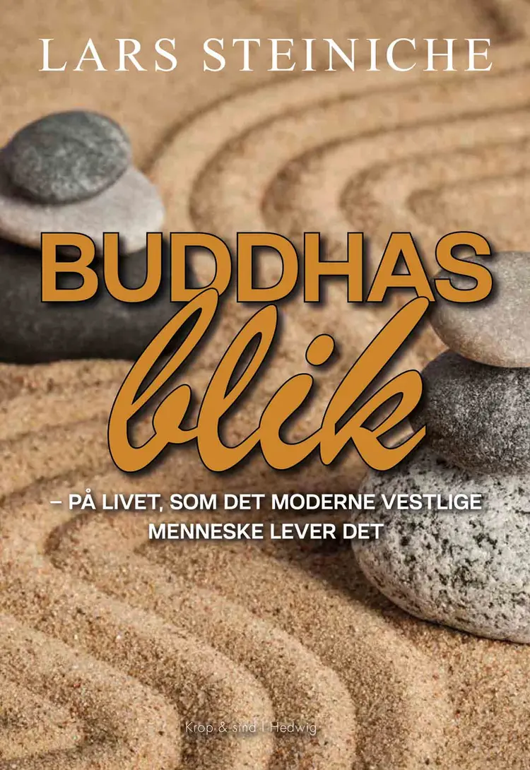 Buddhas blik af Lars Steiniche