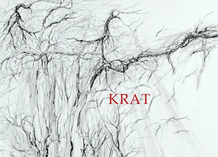 Krat af Bjørn Kromann Andersen