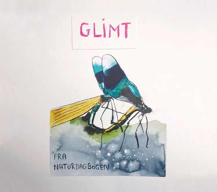 Glimt af Inga Fischer