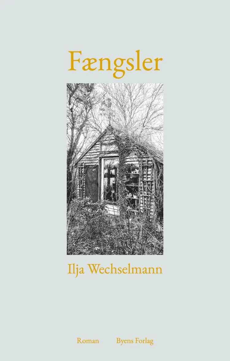 Fængsler af Ilja Wechselmann