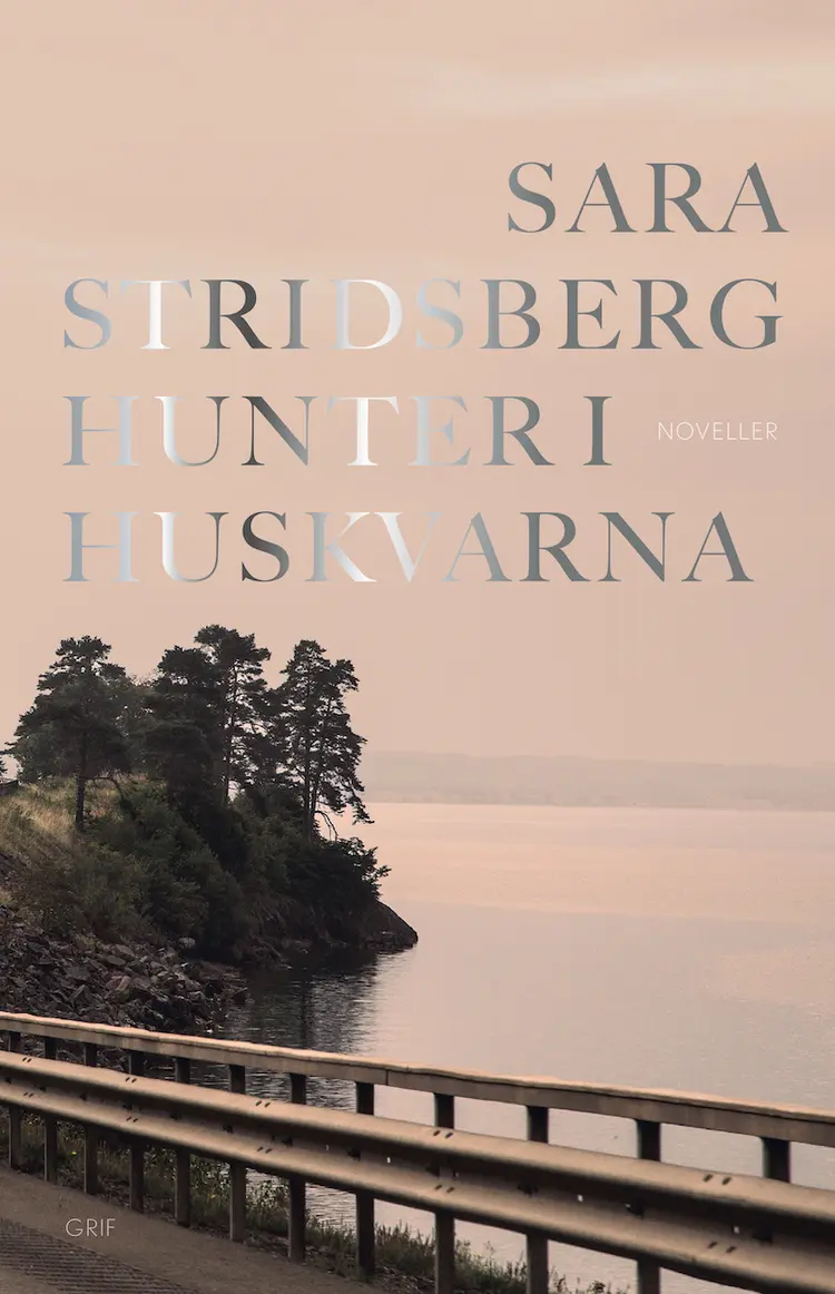 Hunter i Huskvarna af Sara Stridsberg