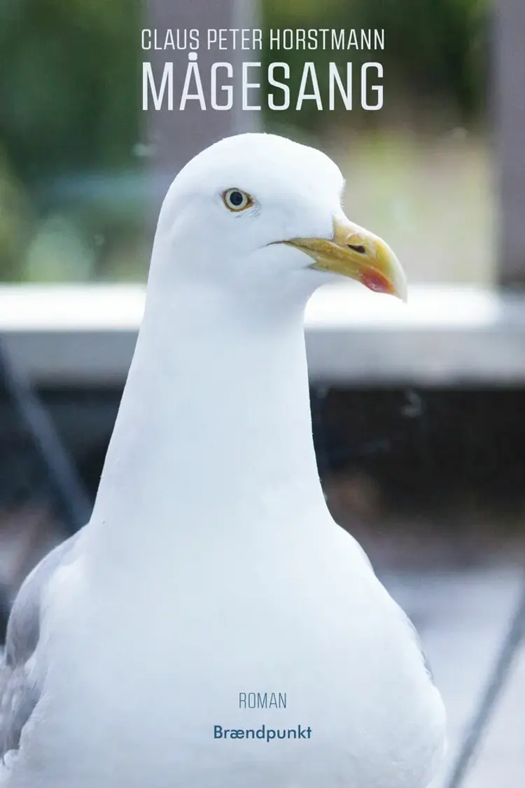 Mågesang af Birgitte Vestergaard Andersen