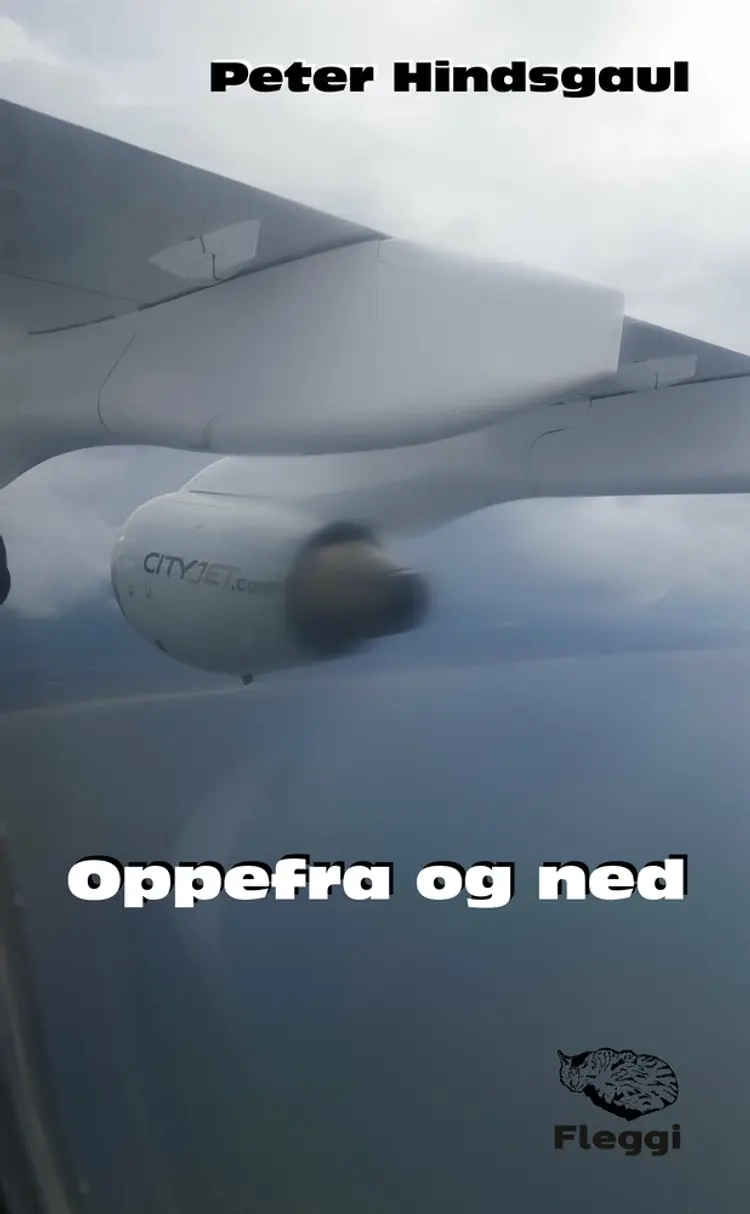Oppefra og ned af Peter Hindsgaul