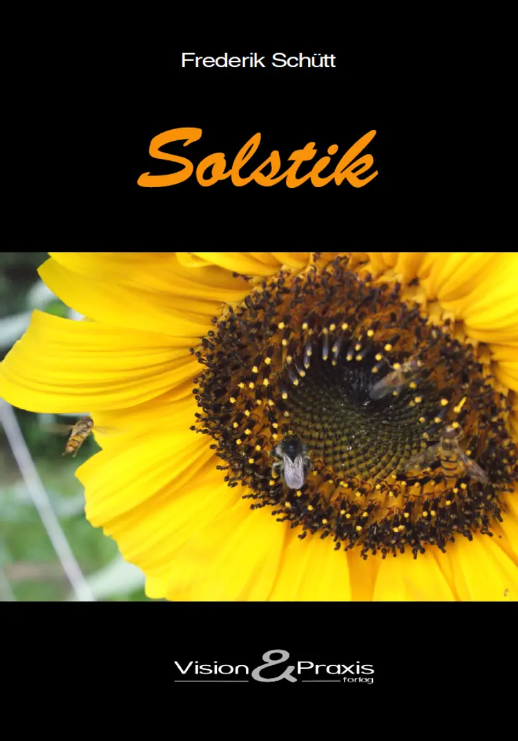 Solstik af Frederik Schütt