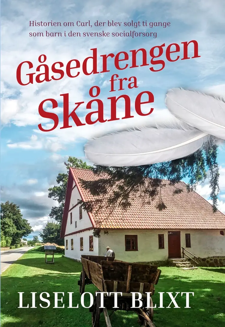 Gåsedrengen fra Skåne af Maj-Britt Lund