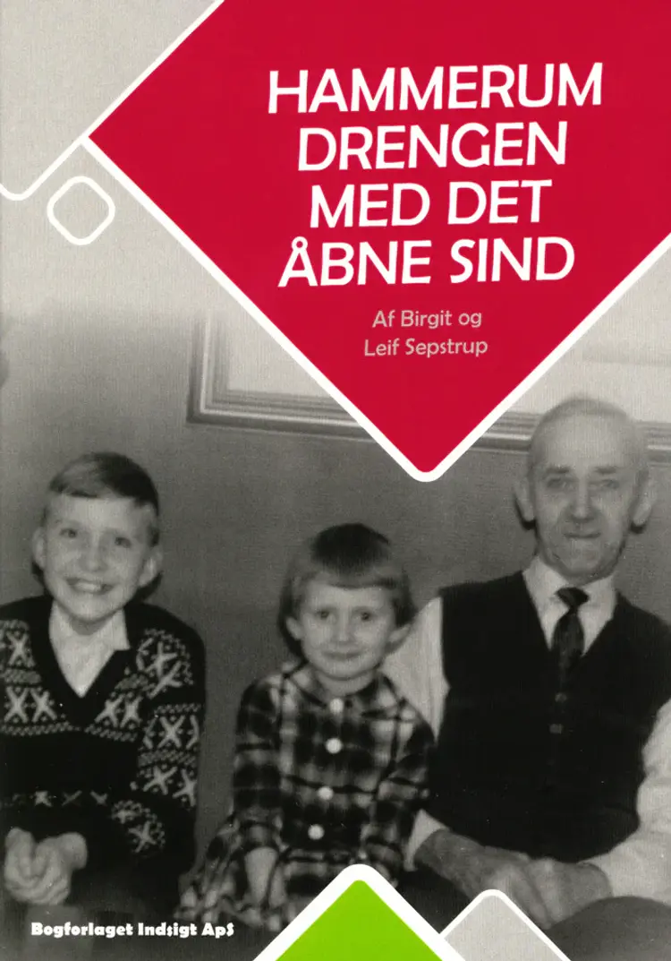 Hammerum Drengen Med Det Åbne Sind af Birgit og Leif Sepstrup