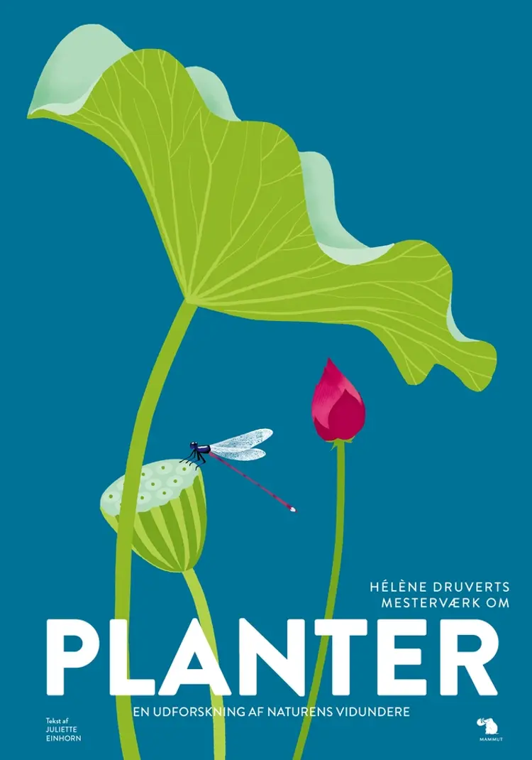 Planter af Hélène Druvert