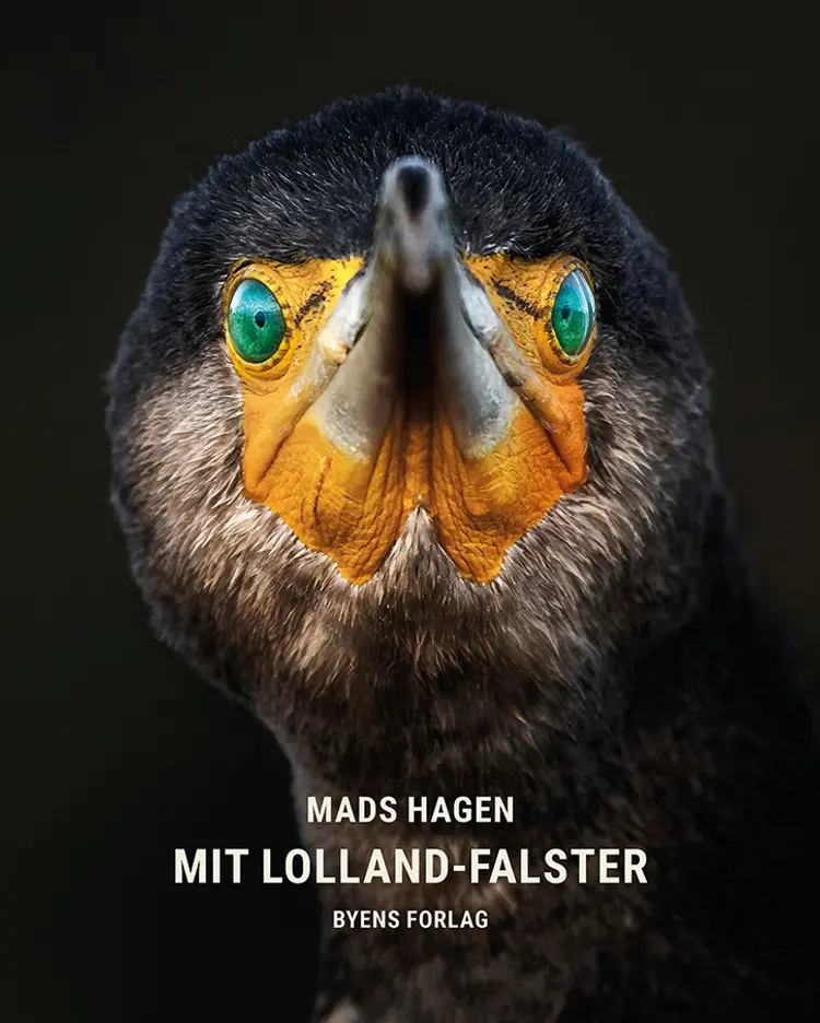 Mit Lolland-Falster af Mads Hagen