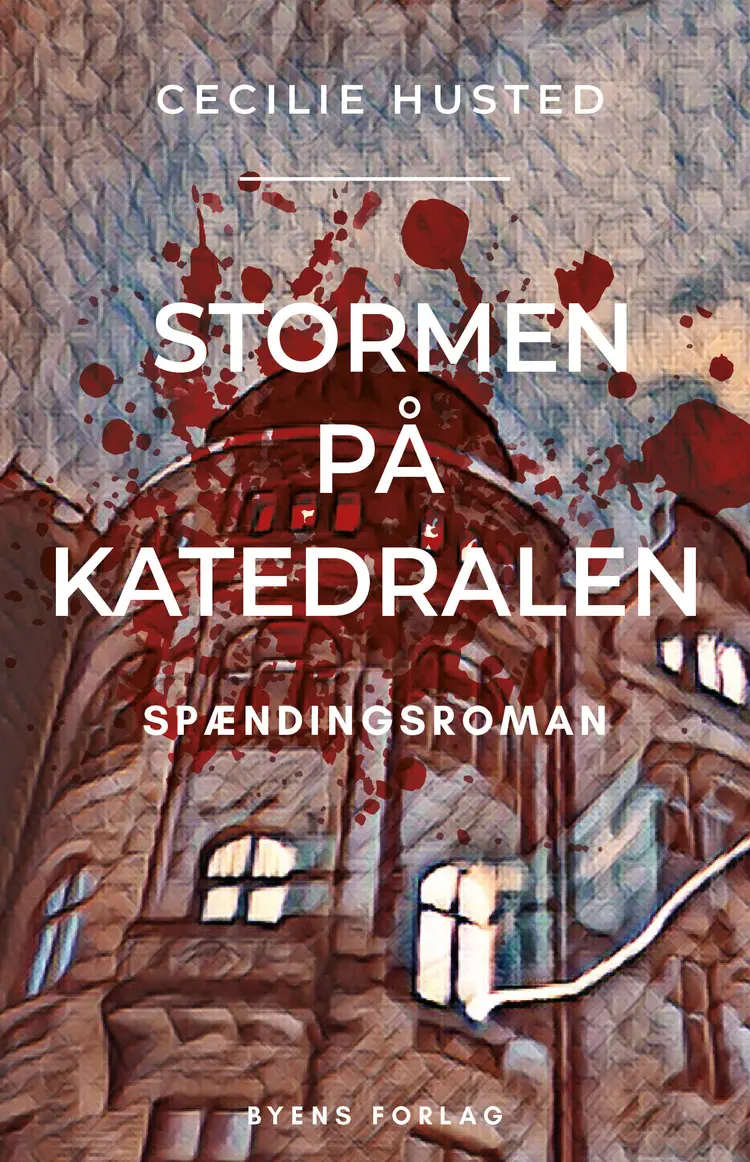 Stormen på Katedralen af Cecilie Husted