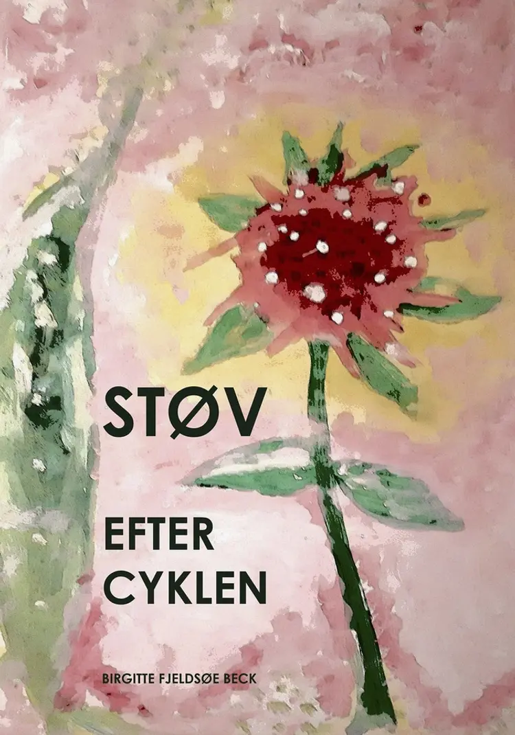 STØV EFTER CYKLEN af Birgitte Fjeldsøe Beck