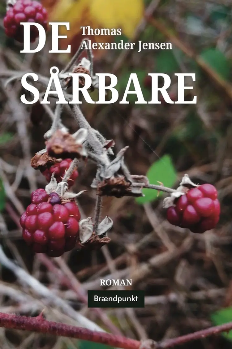 De sårbare af Thomas Alexander Jensen