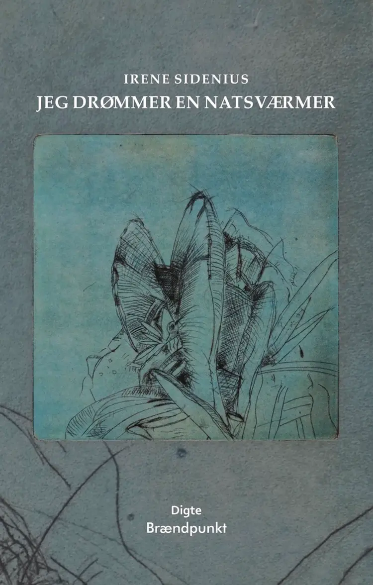 Jeg drømmer en natsværmer af Irene Sidenius