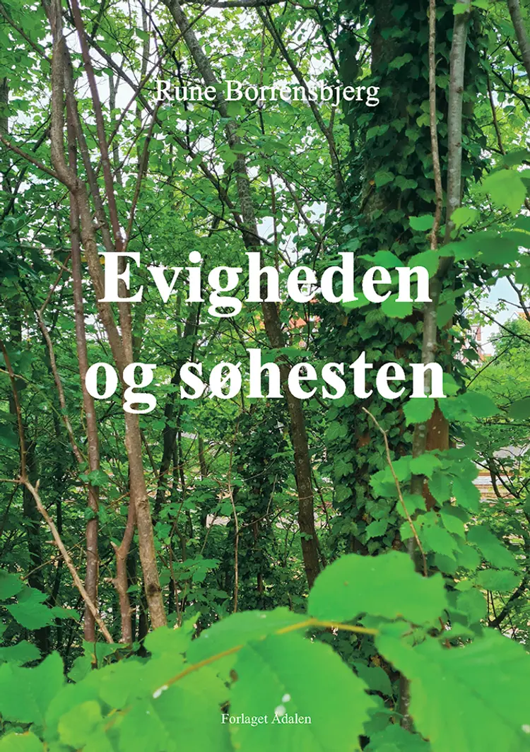Evigheden og Søhesten af Rune Borrensbjerg