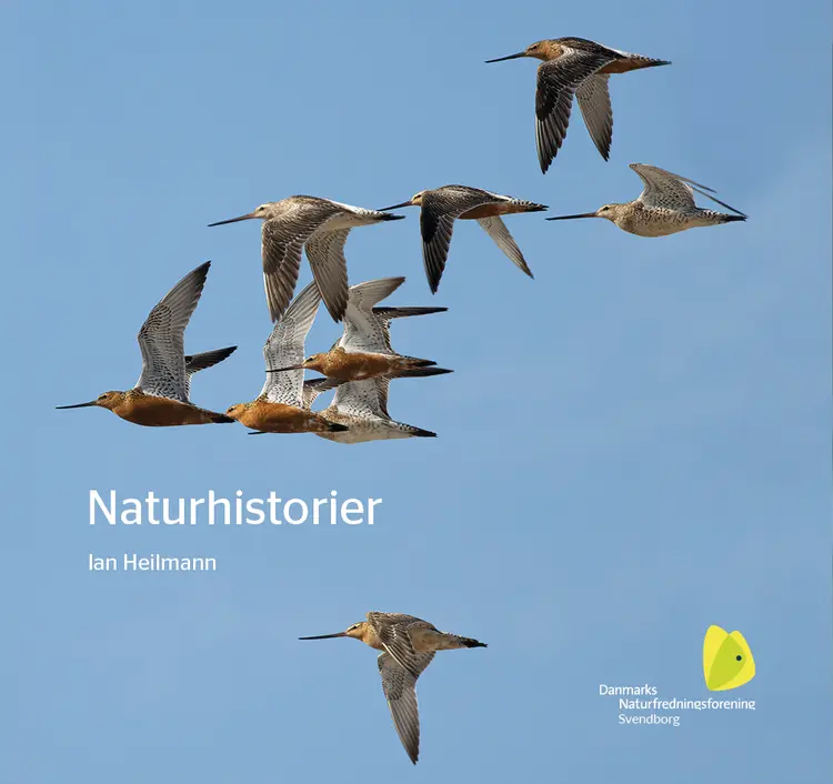 Naturhistorier af Ian Heilmann