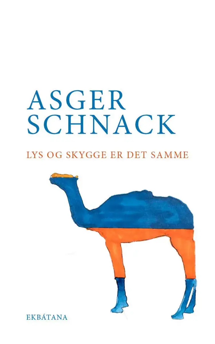 Lys og skygge er det samme af Asger Schnack