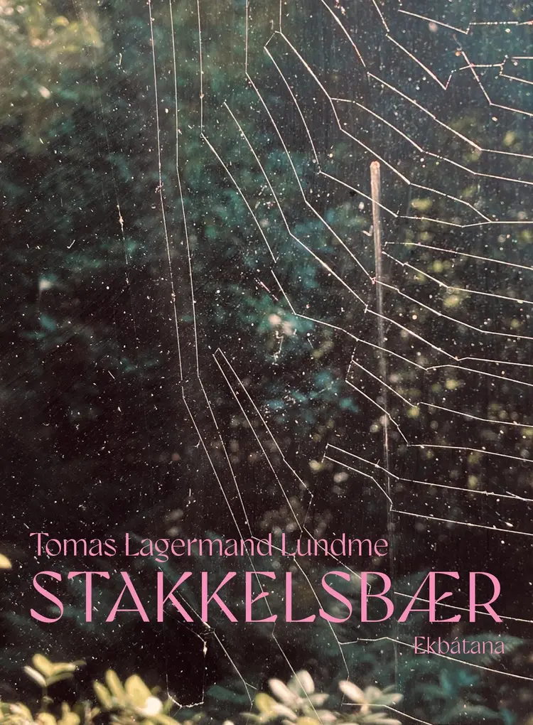 Stakkelsbær af Tomas Lagermand Lundme