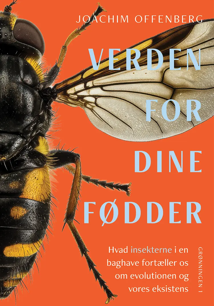 Verden for dine fødder af Joachim Offenberg