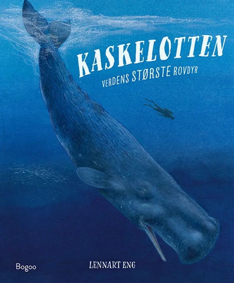 Kaskelotten af Lennart Eng