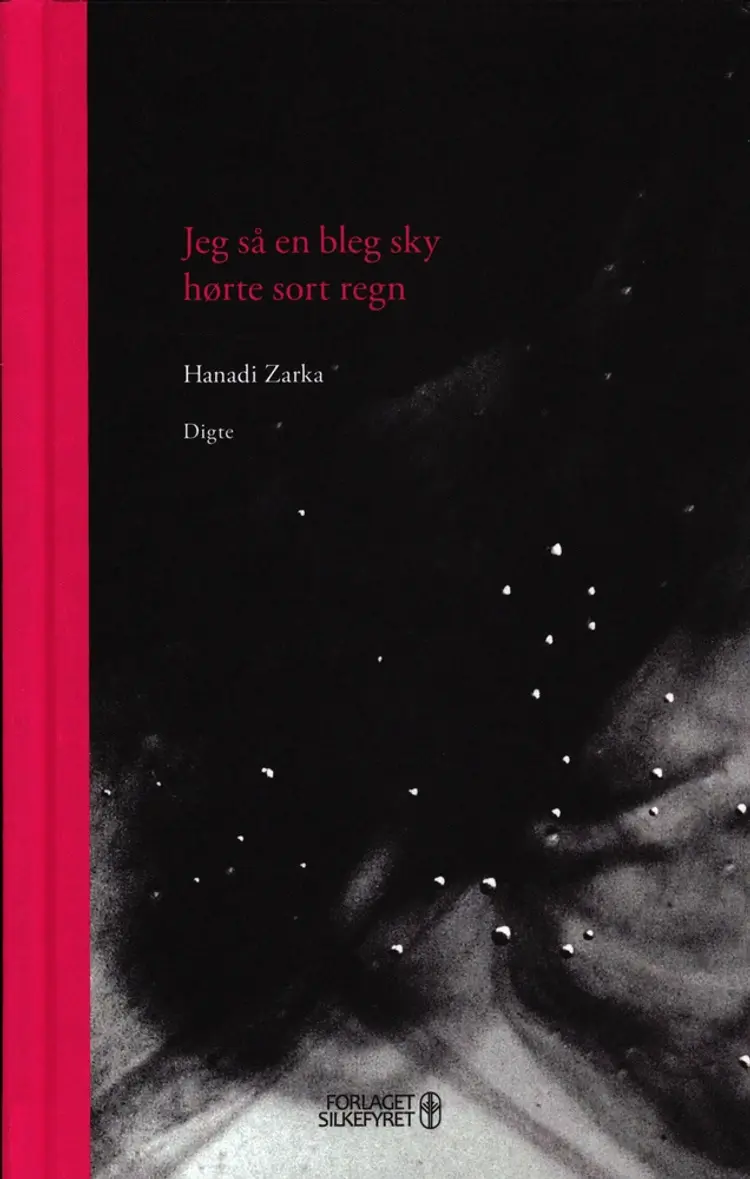Jeg så en bleg sky, hørte sort regn af Hanadi Zarka