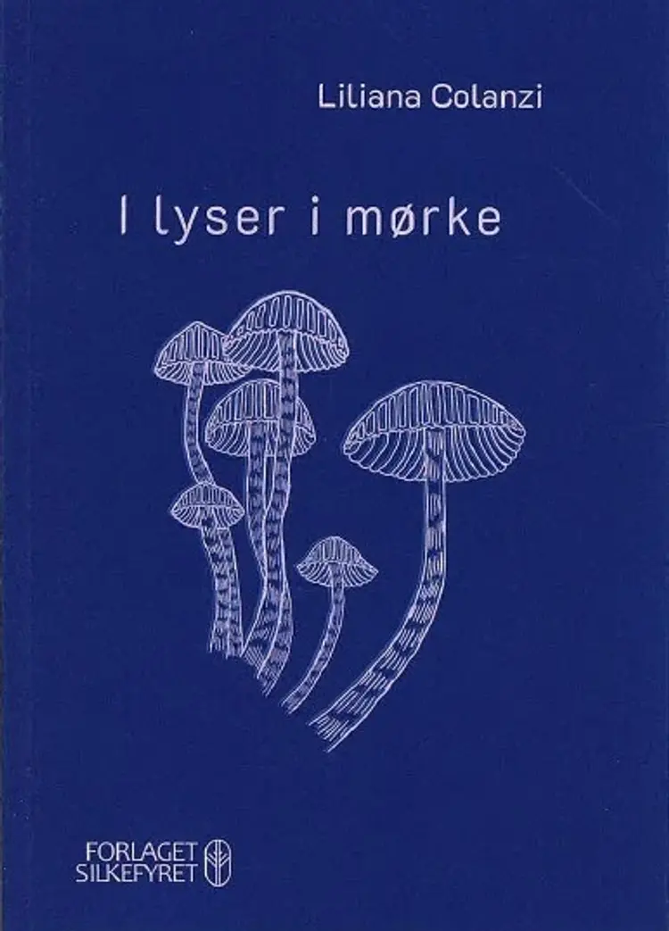 I lyser i mørke af Liliana Colanzi