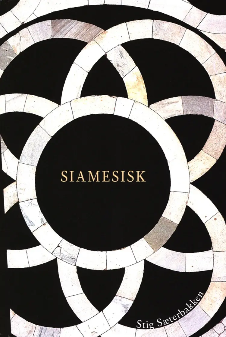 Siamesisk af Stig Sæterbakken