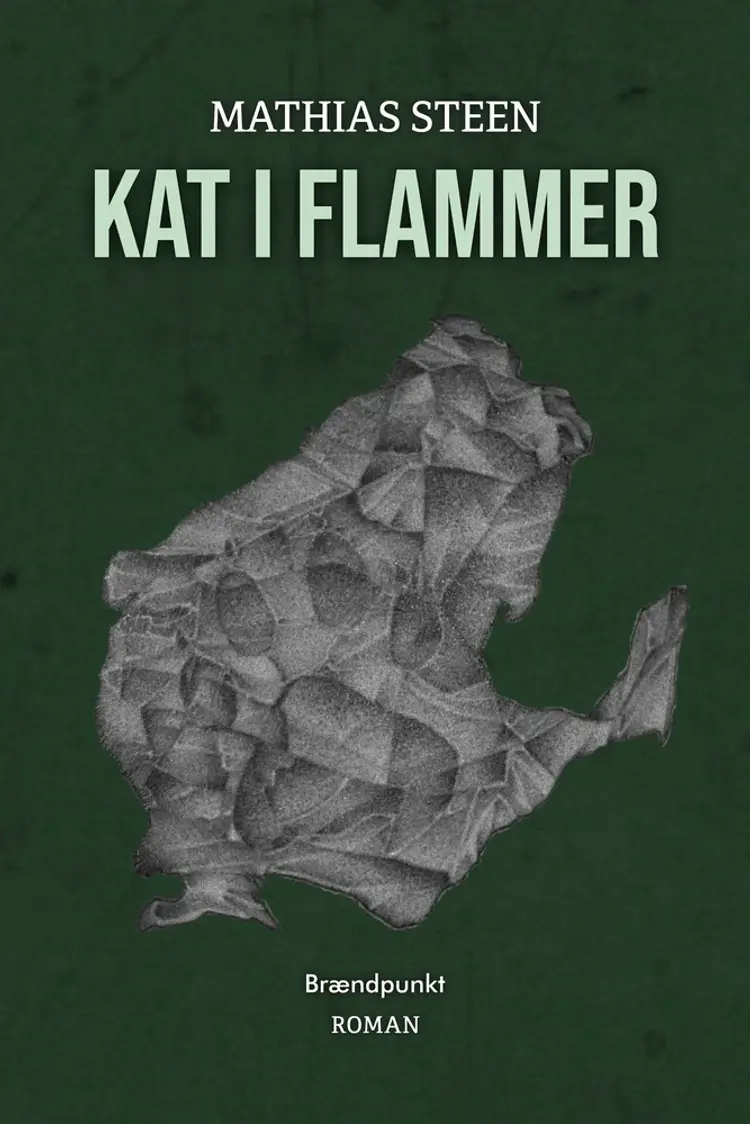 Kat i flammer af Mathias Steen