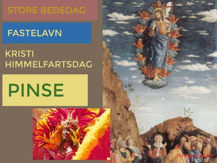 Pinse af Hanne Guldberg Mikkelsen