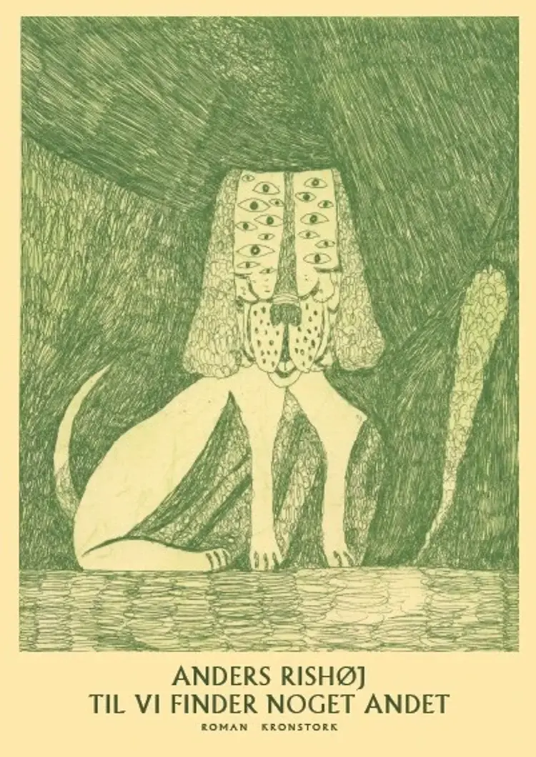 Til vi finder noget andet af Anders Rishøj