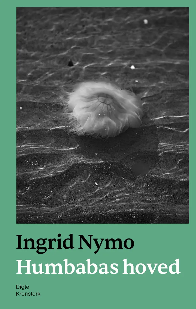 Humbabas hoved af Ingrid Nymo
