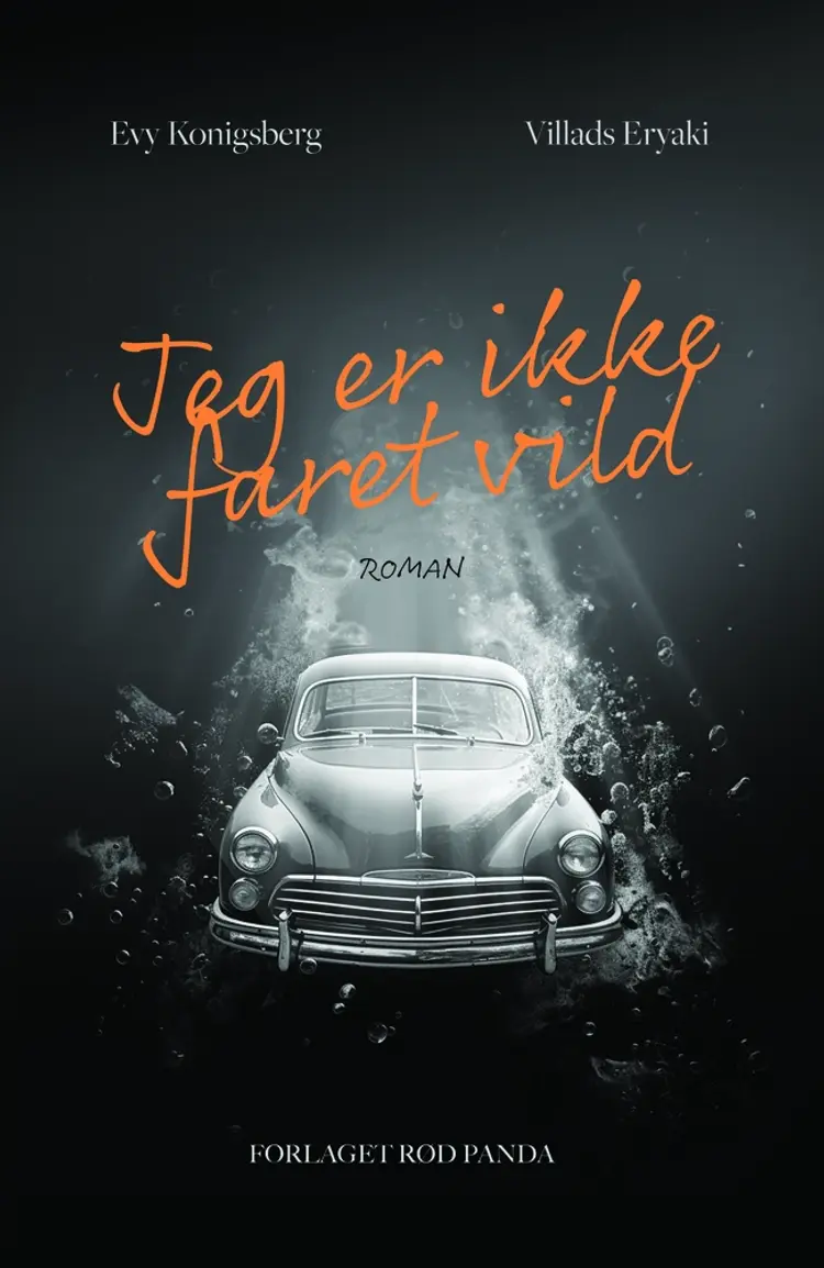 Jeg er ikke faret vild af Evy Konigsberg