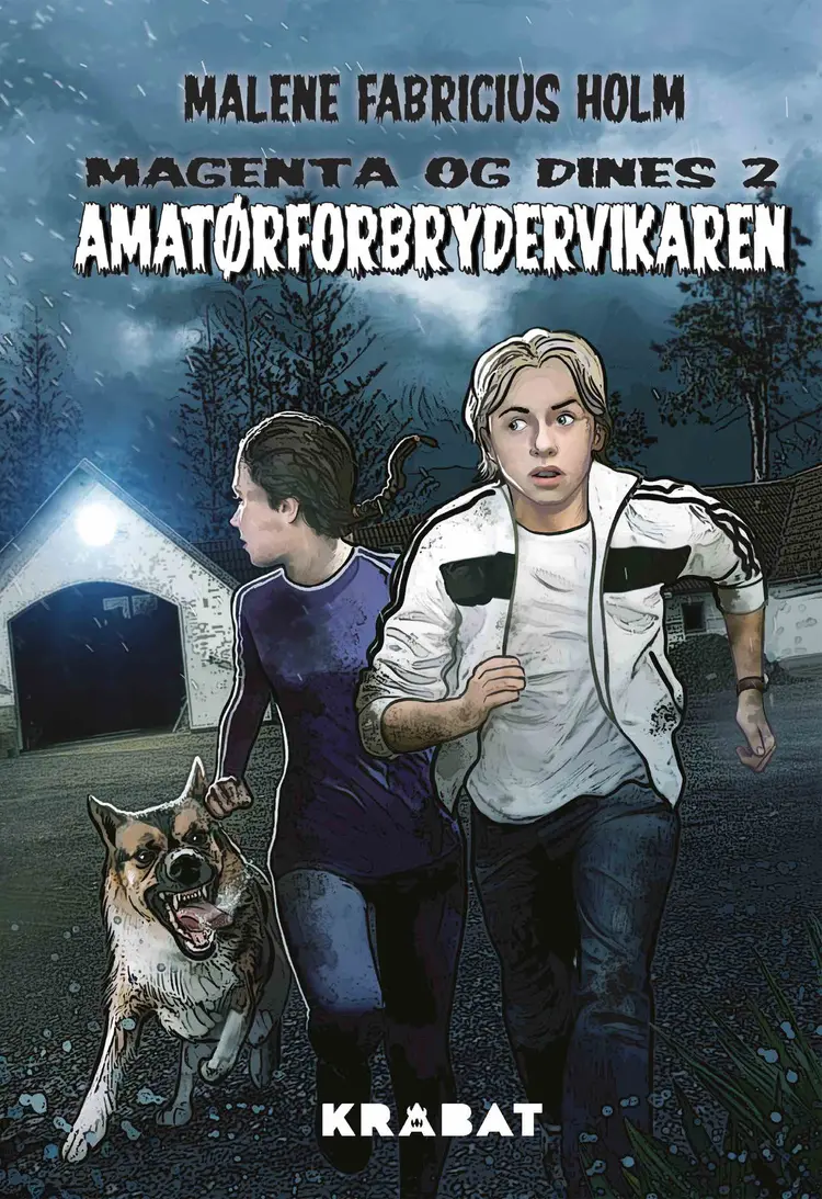 Amatørforbrydervikaren af Malene Fabricius Holm