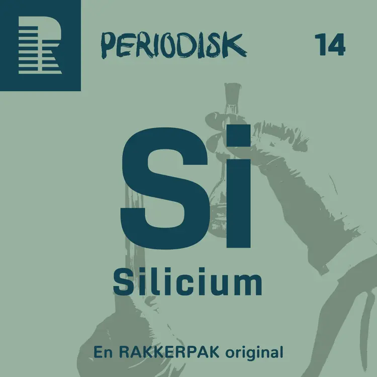 14 Silicium af Maya Zachariassen
