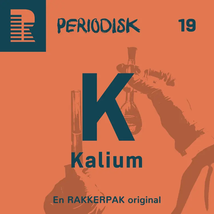 19 Kalium af Mads Gordon Ladekarl