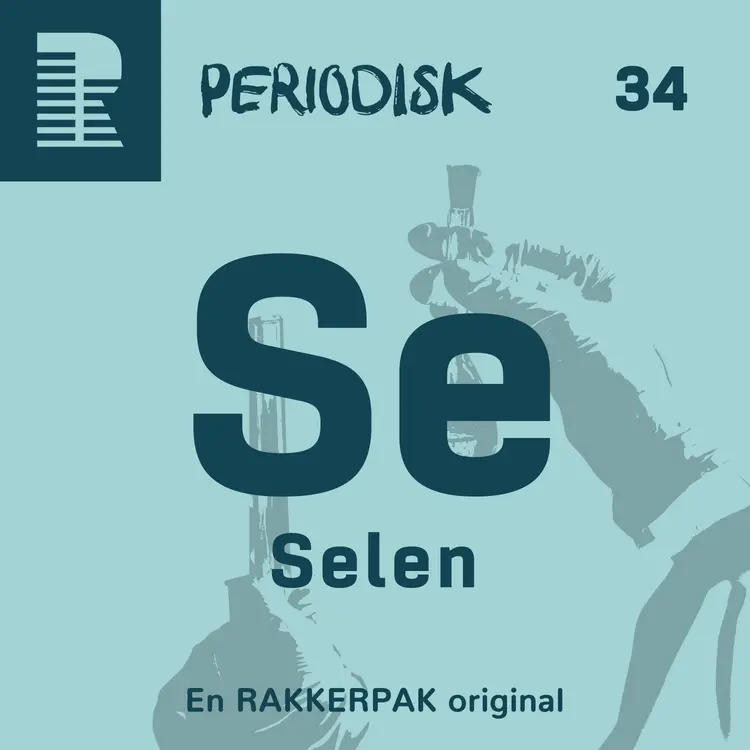 34 Selen af Mads Gordon Ladekarl