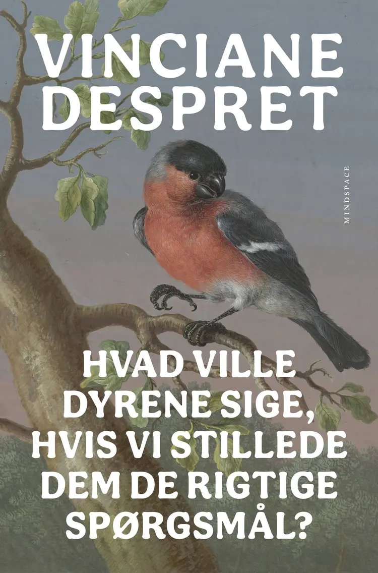 Hvad ville dyrene sige, hvis vi stillede dem de rigtige spørgsmål? af Vinciane Despret