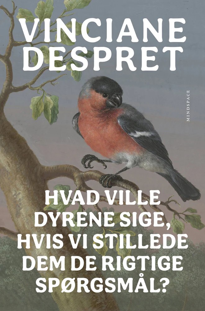 Hvad ville dyrene sige, hvis vi stillede dem de rigtige spørgsmål? cover