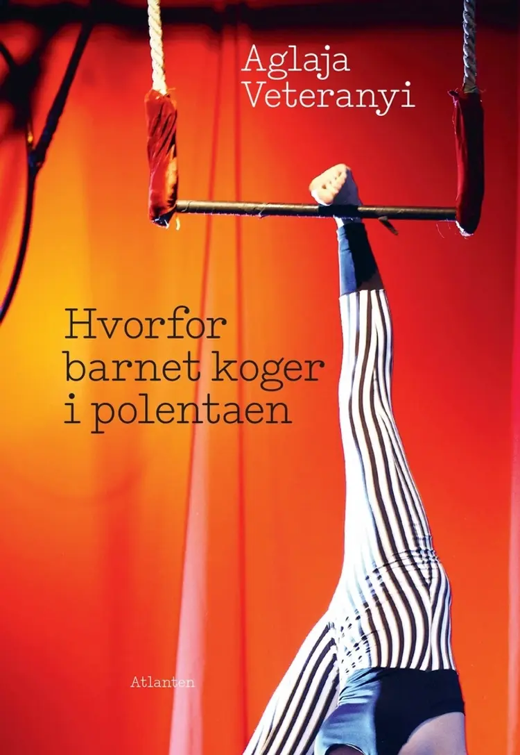 Hvorfor barnet koger i polentaen af Aglaja Veteranyi