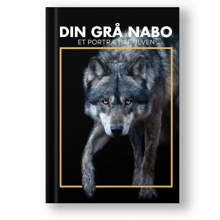 Din grå nabo af Ulvebog Redaktionen