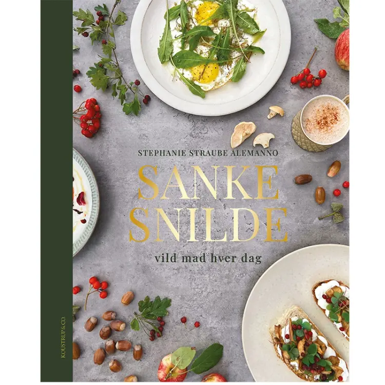 SANKESNILDE af Stephanie Straube Alemanno