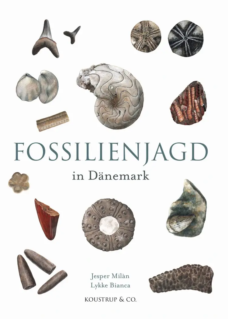 Fossilienjagd in Dänemark af Steen Frimodt