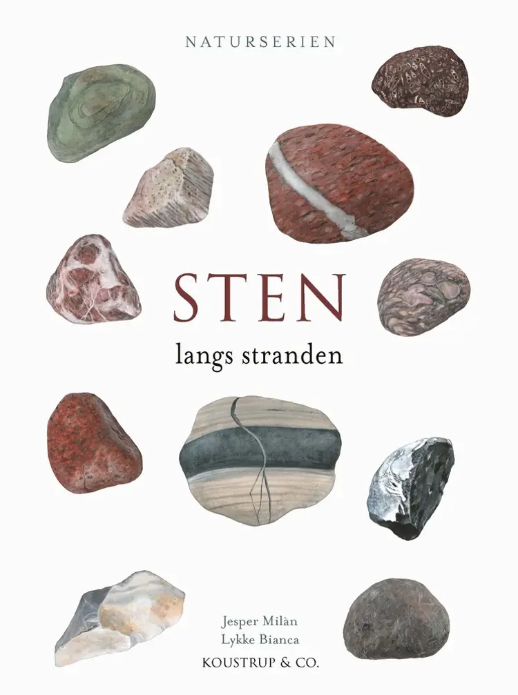 STEN af Jesper Milàn