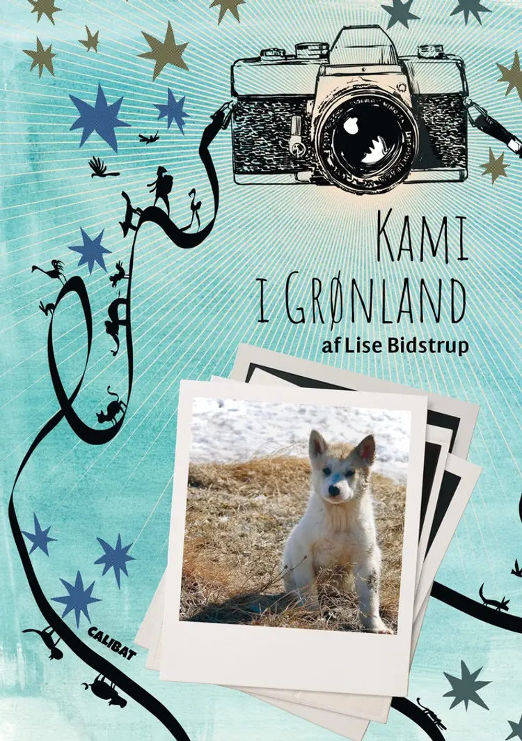 Kami i Grønland af Lise Bidstrup