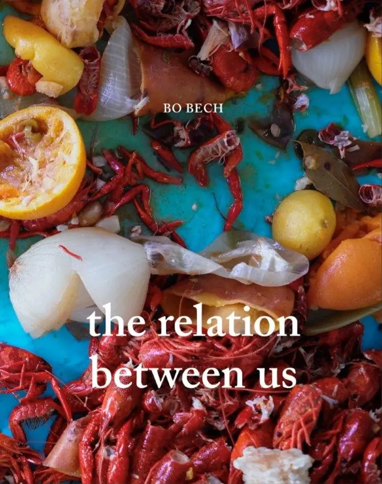 the relation between us af Bo Bech