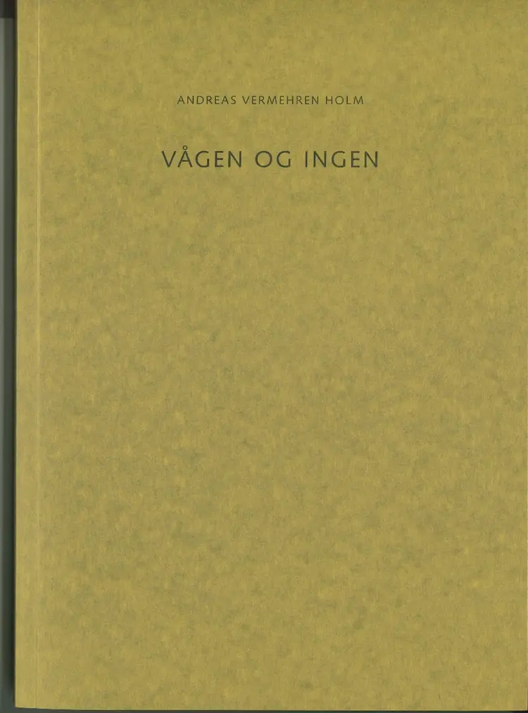 Vågen og ingen af Jørgen Frydenlund