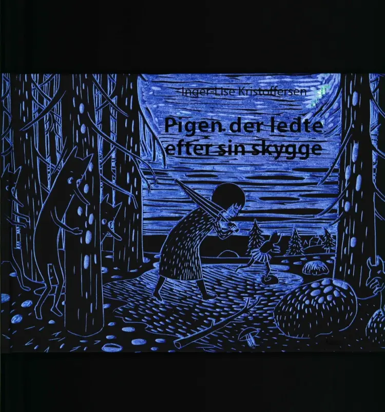 Pigen der ledte efter sin skygge af Inger-Lise Kristoffersen