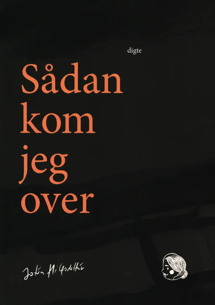 Katten der ville sove et år af Anton Ian Nielsen
